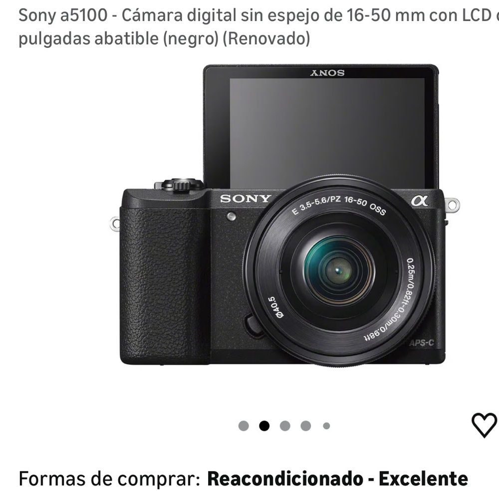 Sony Alpha Black Digital Camera with Flip Display